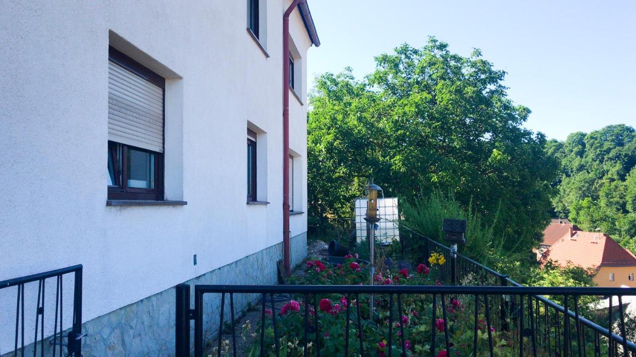 Schlossberg Apartments & Garten In Der Natur & Unweit Vom "Thueringer Meer" Unterwellenborn Kültér fotó