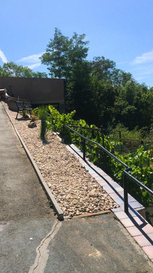 Schlossberg Apartments & Garten In Der Natur & Unweit Vom "Thueringer Meer" Unterwellenborn Kültér fotó